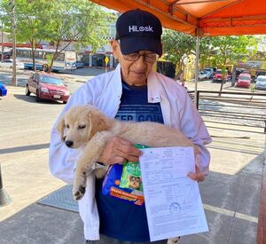 Este fin de semana: jornadas gratuitas de atención veterinaria en Asunción - .::Agencia IP::.