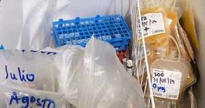 Diario HOY | Clausuran laboratorio que realizaba extracciones de sangre de forma irregular