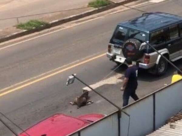 Captan a un hombre arrastrando a un perro con su camioneta en Villarrica - Nacionales - ABC Color