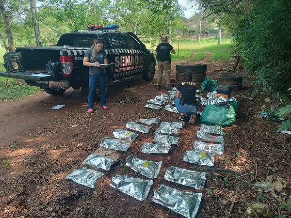 Cae carga de marihuana prensada y “skunk” en plaza de PJC