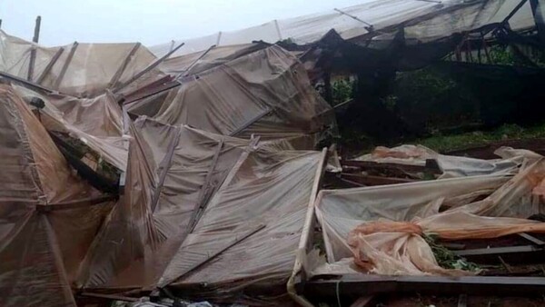 Fuerte temporal destroza varias huertas en Itapúa