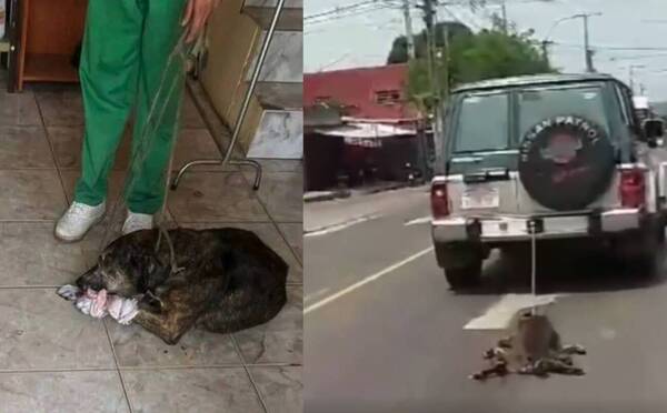 Arrastraba a un perro atado a la camioneta: Defensa y Bienestar Animal tomará acciones