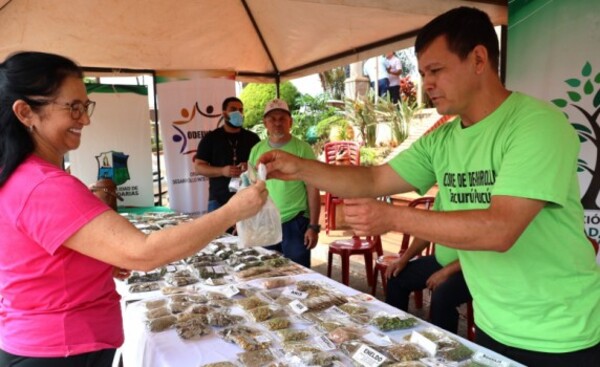 Realizan primera feria de plantas medicinales en Hernandarias