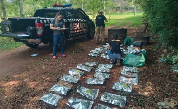 Incautan carga de marihuana prensada y "skunk" en la plaza Amambay