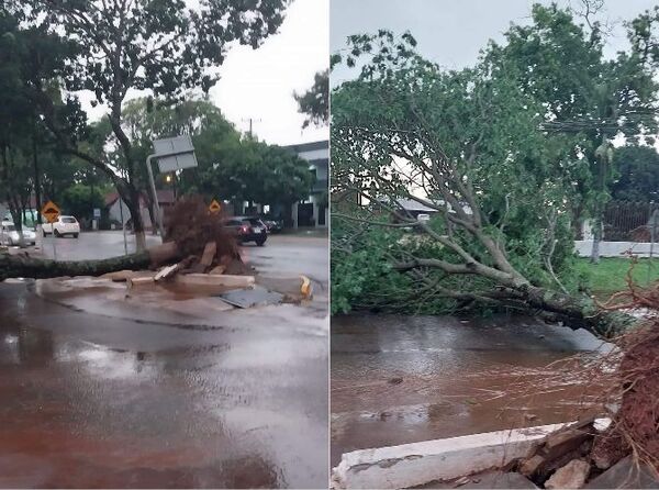 Temporal causa destrozos en el departamento de Canindeyú
