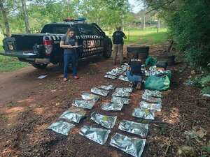Abandonan 90 kilos de marihuana en una plaza de Ciudad del Este - ABC en el Este - ABC Color