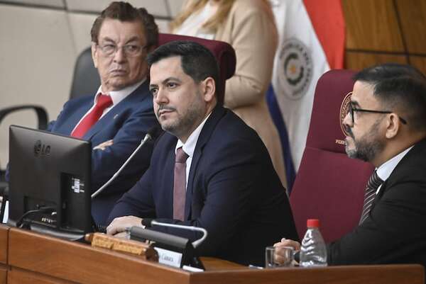 Incluyeron para tratar, pero como último punto del martes - Política - ABC Color