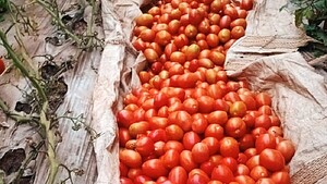 Productores siguen sin poder vender, pese a promesas estatales
