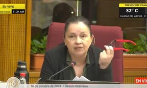 Senadora pide desmantelar antros de contrabando del DNIT y SENAVE en el Km 60