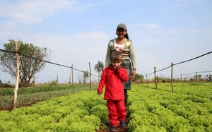 La pobreza en Paraguay cae a la mitad en 20 años, dice BM - ADN Digital