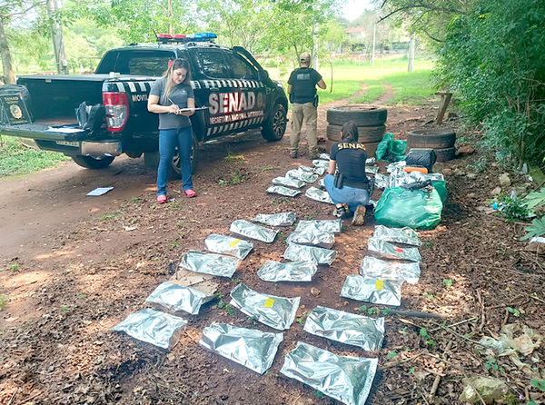 Antidrogas habrían liberado a narcos que transportaban 90 kilos de marihuana - La Clave