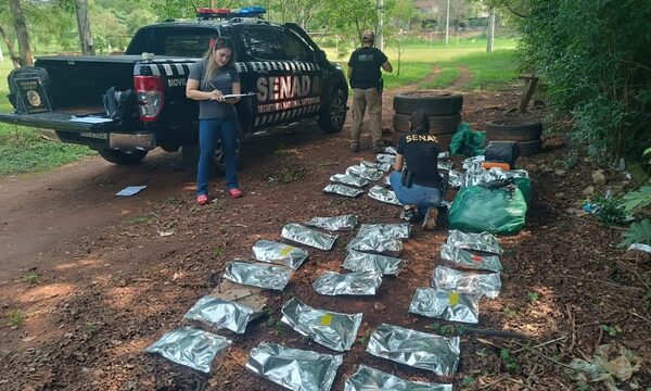 SENAD encuentra 90 kilos de marihuana en plaza de CDE