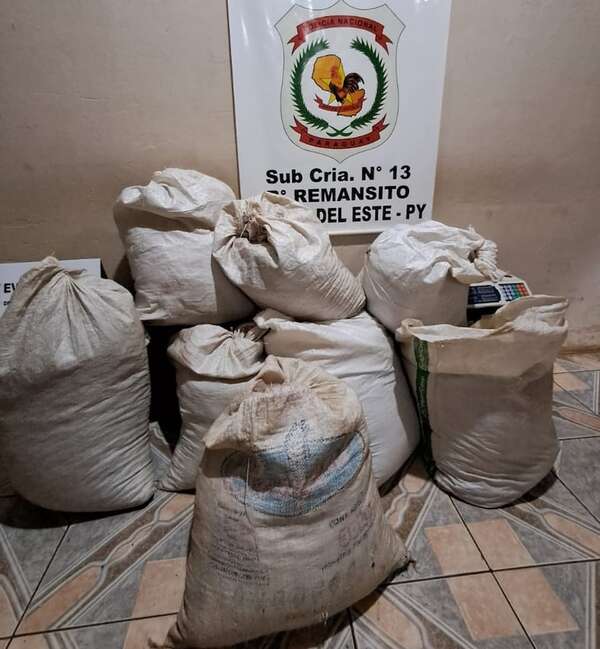 Incautan 62 kilos de marihuana picada en la ribera del río Paraná - ABC en el Este - ABC Color