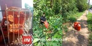  HURTARON 8 GARRAFAS DE UNA DESPENSA EN ENCARNACIÓN  - Itapúa Noticias