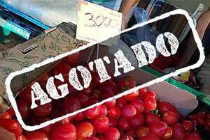 Récord: en apenas dos horas vendieron 10.000 kilos de tomate - Nacionales - ABC Color