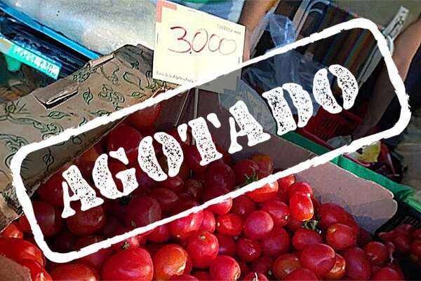 Récord: en apenas dos horas vendieron 10.000 kilos de tomate - Nacionales - ABC Color