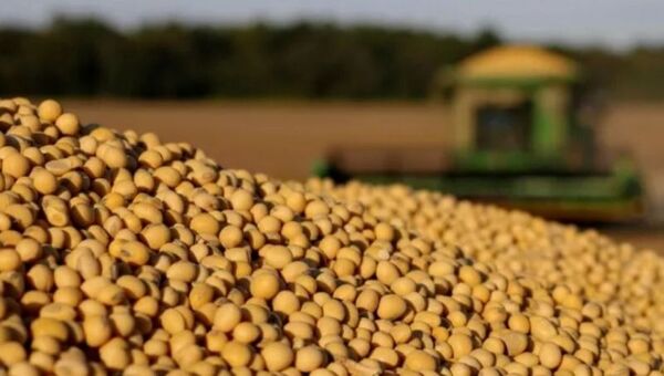 Récord: producción de soja de la zafra 2023/24 alcanzaría 10,6 millones de toneladas