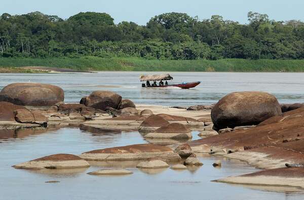 Vísperas de COP16: cinco datos clave de cumbre con desarrollo sostenible - Ciencia - ABC Color