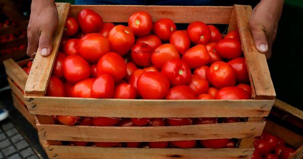 Diario HOY | Triunfo agrícola: Paraguay exporta 60 toneladas de tomate en Argentina