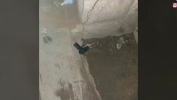 Policía asesinó a su esposa en San Bernardino - SNT