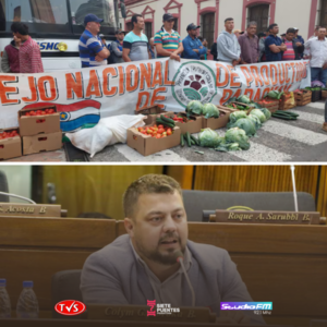 PRODUCTORES FRUTIHORTÍCOLAS SE SIENTEN DESAMPARADOS ANTE EL AUMENTO DEL CONTRABANDO, AFIRMA EL SENADOR COLYM SOROKA - TVS
