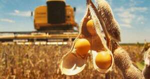 La Nación / Destacan potencialidades del agronegocio de Paraguay en Brasil