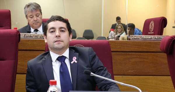 La Nación / Para el diputado Gómez, la Juventud Liberal está apagada
