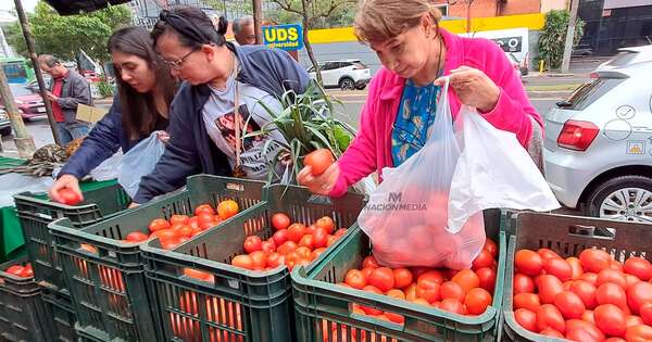 La Nación / Histórico, Gobierno anuncia exportación de tomates a la Argentina