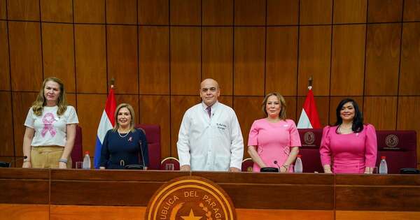 La Nación / Senado se tiñe de rosa en el mes de prevención del cáncer de mama