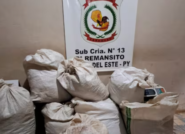 Golpe al narcotráfico: Confiscan 62 kilos de marihuana en Ciudad del Este