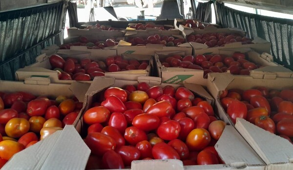 Paraguay exportará tomates a Argentina por primera vez