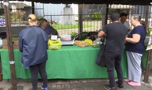 Feria de frutihortícolas frente a canal Trece, fue todo un éxito - trece