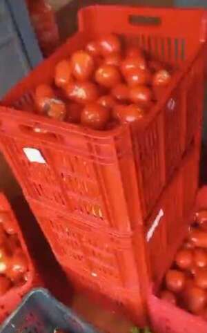 Video: denuncian provisión de alimentos de “Hambre cero” en mal estado - Nacionales - ABC Color