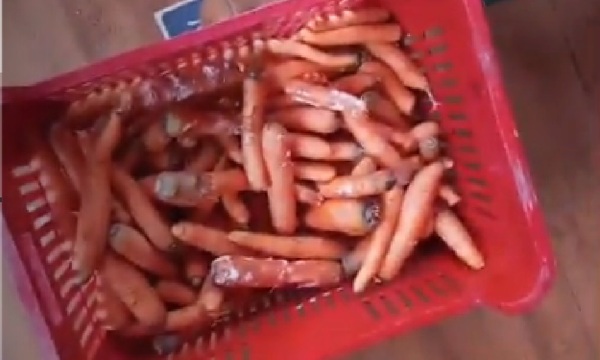 Denuncian provisión de alimentos de “Hambre cero” en mal estado en J. Eulogio Estigarribia - OviedoPress