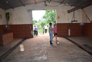 Cierran temporalmente matadería municipal de San Patricio, Misiones - Nacionales - ABC Color