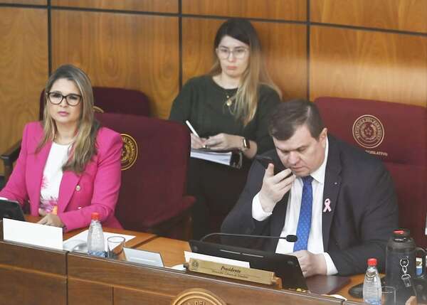 “Si no es persecución, ¿qué es?”, se pregunta Sole Núñez sobre acusaciones en medio del debate de ley anti-ONG - Política - ABC Color