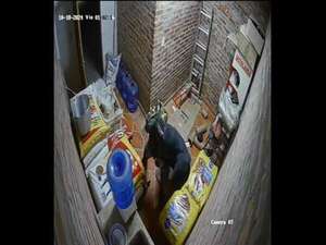 Video: ladrones rompen la pared de una panadería en Limpio para robar equipos y dinero - Policiales - ABC Color