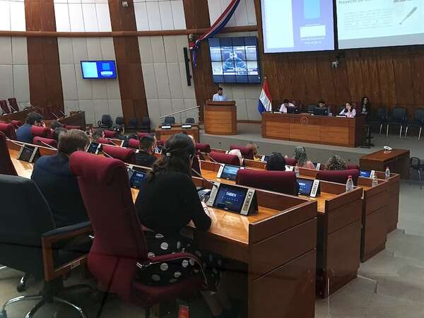 Urgen eliminar la comisión “garrote” ante el avance autoritario cartista - Política - ABC Color