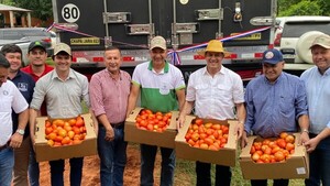 Con primer envío de tomates a Argentina, apuntan a Brasil