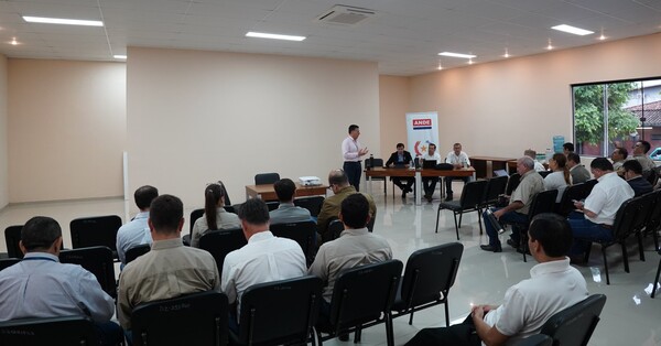 La ANDE intensifica acciones contra pérdidas eléctricas - .::Agencia IP::.