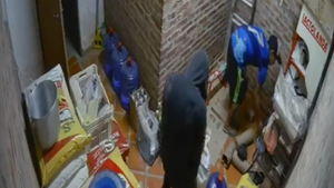 Video: Delincuentes abrieron boquete y robaron una panadería en Limpio