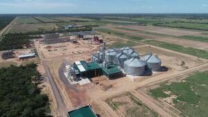 Industria de la molienda de soja en crisis, según CAPPRO