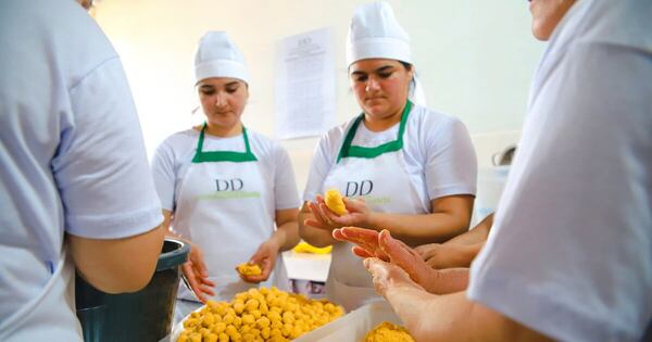 La Nación / Experiencia sobre Hambre Cero se podrá compartir a través de la Red de Alimentación