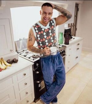 Novia de Liam Payne relató su regreso a casa, pero este detalle no convence a los fans