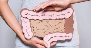 La Nación / ¿Sabías que la microbioma intestinal es una herramienta para combatir la diabetes?
