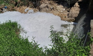 Denuncian contaminación de arroyos en la zona de Costa Alegre - OviedoPress
