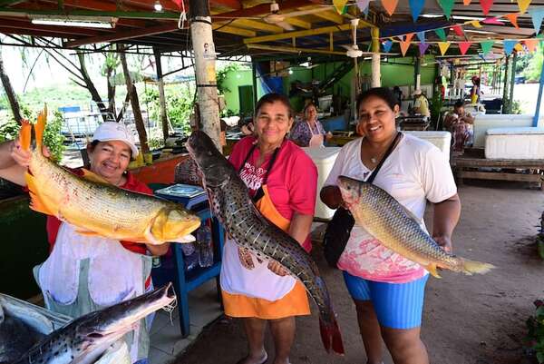 Veda pesquera inicia en noviembre: ¿Cuánto cuesta un kilo de pescado en Remanso? - Nacionales - ABC Color