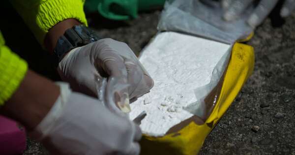La Nación / Colombia, mayor productor de cocaína