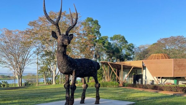 El Paseo de las Esculturas une arte y naturaleza en Refugio Mbaracayú