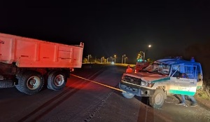Ambulancia de Nanawa sufre accidente tras esquivar a un oso hormiguero - OviedoPress
